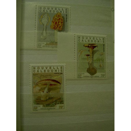 NOUVELLE CALEDONIE Num 749-751 ** MNH ANNEE 1998 Champignon