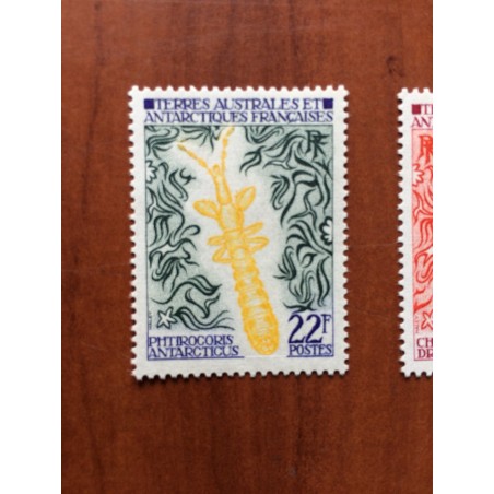 TAAF Yvert Num 50 ** MNH Insectes ANNEE 1973