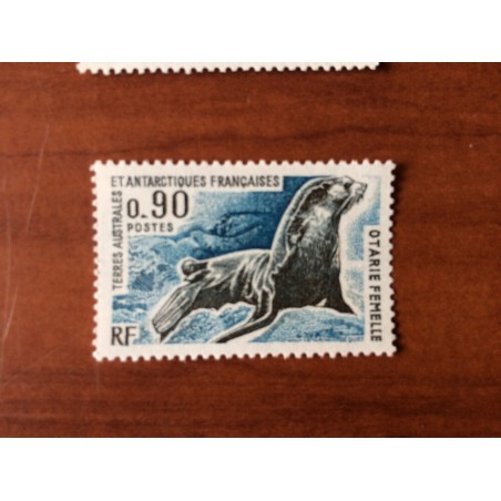 TAAF Yvert Num 57 ** MNH Faune Otarie ANNEE 1976