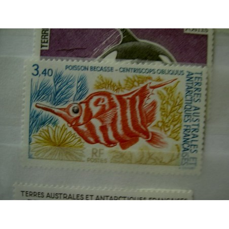 TAAF Yvert Num 178 Faune Poisson ANNEE 1993