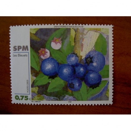 Saint Pierre et Miquelon 794 ** MNH Tableau de ML Drillet année 2003