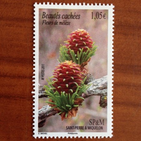 Saint Pierre et Miquelon 994 ** MNH Flore Fleurs de mélèze année 2011