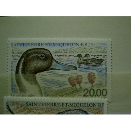 Saint Pierre et miquelon num PA 79 ** MNH en 1999 Oiseau Bird Canard Pilet