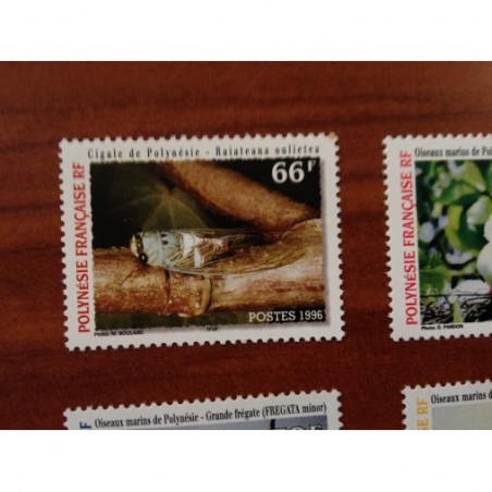 POLYNESIE NUM 516 ** MNH Cigale ANNEE 1996